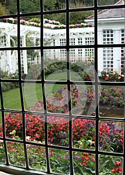 Garden Window