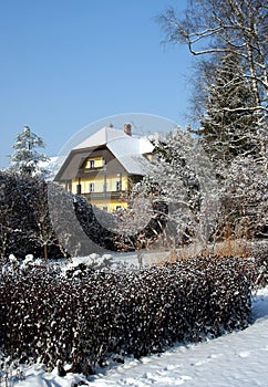 Garden in winter