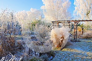 Garden in winter with hoarfrost on a cold day photo