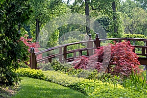 Garden witha beautiful arched bridge
