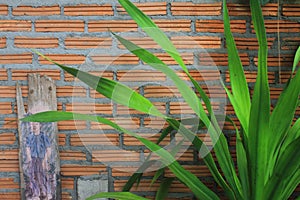 Garden wood and tree