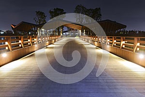 garden wooden bridge illuminated by led light