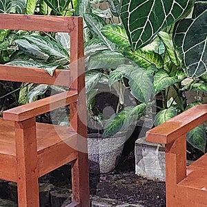 garden wooden table chairs, among the plants