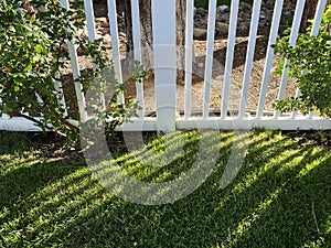 garden wooden white wood picket fence grass yard sunlight shadow backyard