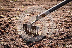 Garden work. rake in the ground. digging rping soil with rake in the garden, gardening,farming,seeding concept