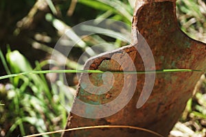 Garden Work - Rusty Shovel in the garden