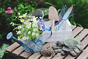 Garden work still life in summer