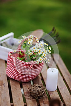 Garden work still life in summer. Chamomile flowers in red handmade bag