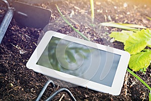 Garden Work With White Business Tablet And Gardening Tools At Sunrise