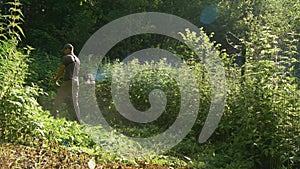 Garden worker cutting grass.