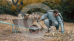 Garden worker loading dry leaves and tree branches on to a wheelbarrow