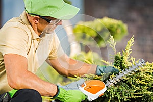 Garden Worker Trimming Shaping Decorative Tree