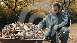 Garden worker who is a man loading dry leaves and tree branches on to a wheelbarrow