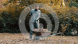 Garden worker who is a man loading dry leaves and tree branches on to a wheelbarrow outside in a yard