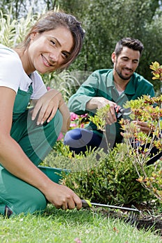 garden workers doing maintenance