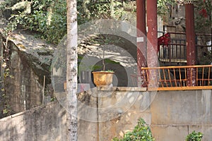 Garden in the Yuantong Temple