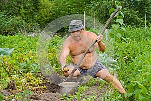 Gardener 11