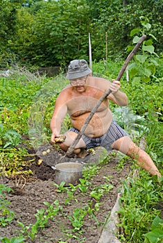 Gardener 8