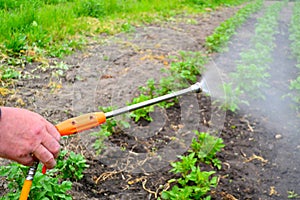 Gardener applaying an insecticide