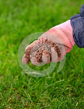 gardener applying sharp horticultural sand on grass lawn organic spring garden job photo