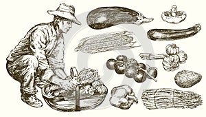 Gardener with a basket of harvested vegetables. Hand drawn set.