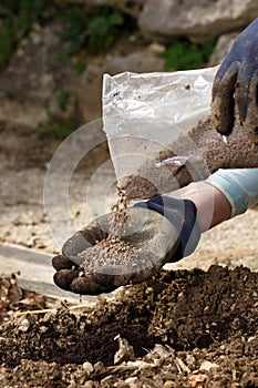 Gardener blending organic fertilizer humic granules with soil, enriching soil