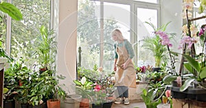 Gardener carefully tends to various indoor plants in a bright. Happy small business female owner relaxing drinking