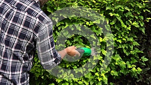 Gardener in a checked shirt shaping bushes with electric mower in the garden.