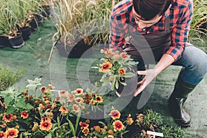 Gardener checking flower in flowerpot while working in garden