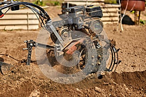 Gardener cultivate ground soil with tiller tractor or rototiller, cutivator