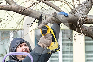 Gardener cuts branch on a tree, with using small handheld lithium battery powered chainsaw. Season pruning. Trimming trees with