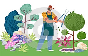 Gardener cuts a tree. Pruning bushes and garden maintenance vector illustration. Man cuts the leaves on landscape design