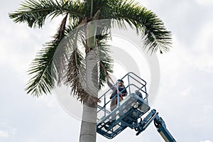 Gardener cutting branches on crane basket. unsafe concept