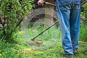 Gardener cutting grass by brushcutter