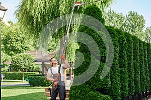 Gardener cutting hedge with electric trimmer on back yard