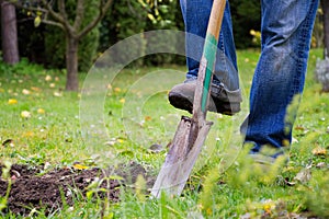 Gardener digging in a garden with a spade