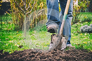 Gardener digging in a garden with a spade photo