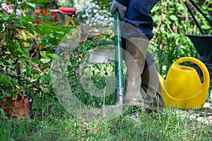 Gardener digging in a garden with a spade