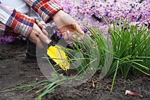Gardener digs up the soil with a little shovel