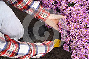 Gardener digs up the soil with a little shovel