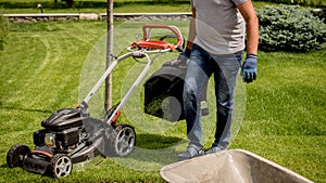 Gardener emptying lawn mower grass into a wheelbarrow after mowing.