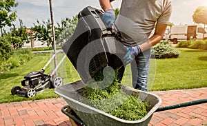 Gardener emptying lawn mower grass into a wheelbarrow after mowing.