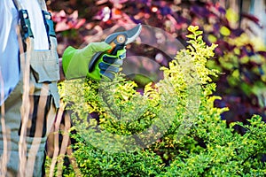 Gardener with Garden Snips