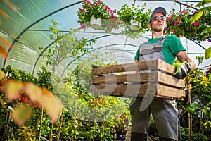 Gardener Greenhouse Work