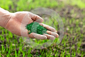 Gardener growing grass seeds in the backyard. Industrial agriculture