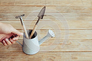 Gardener hand holding vintage blue watering can and small garden