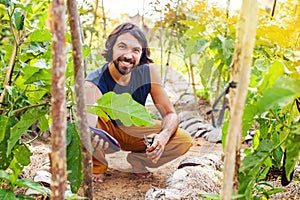 gardener harvesting an eggplant