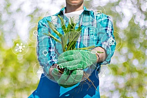 Gardener in his hands shows seedlings .