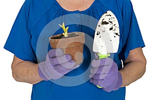 Gardener Hold Gardening Tools, Spring and Planting Concept