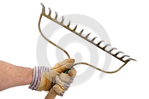 Gardener Holding a Garden Rake